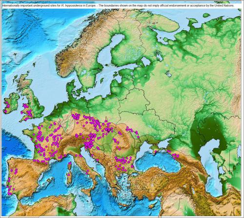 Internationally Important Underground Sites for R. hipposideros in Europe - The boundaries shown on the following maps do not imply official endorsement or acceptance by the United Nations.